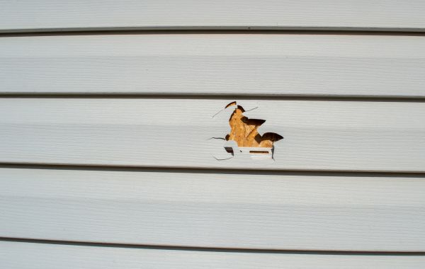 Siding Hole Patching in Gulfport